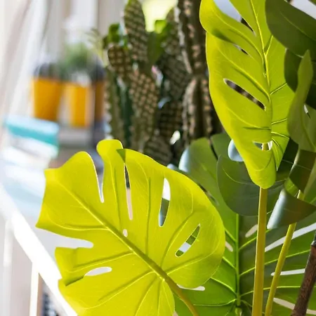 New Zafiro Centro Sta Cruz, Wifi&gym *