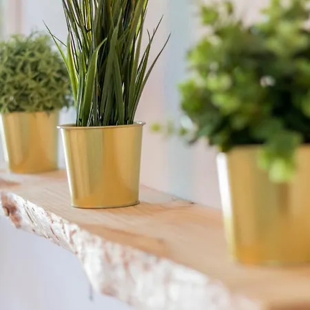 New Zafiro Centro Sta Cruz, Wifi&gym Apartament *