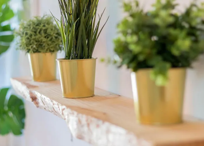 New Zafiro Centro Sta Cruz, Wifi&gym Apartament *